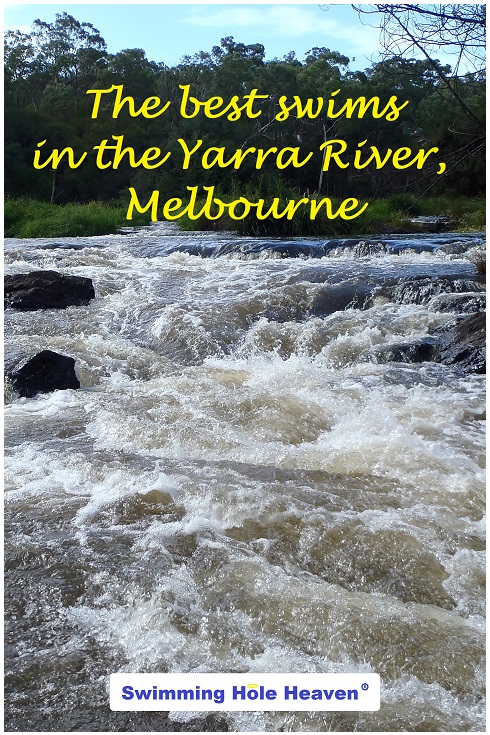 The best swimming holes in the Yarra River