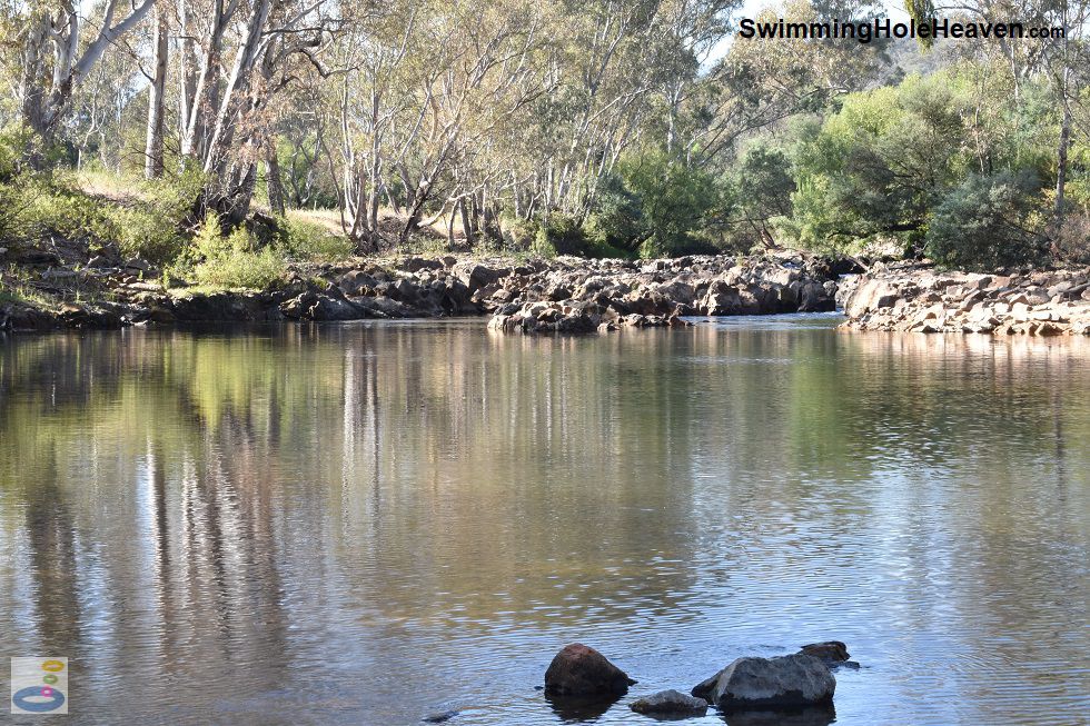 Swimming in the Ovens River at Nimmo Bridge